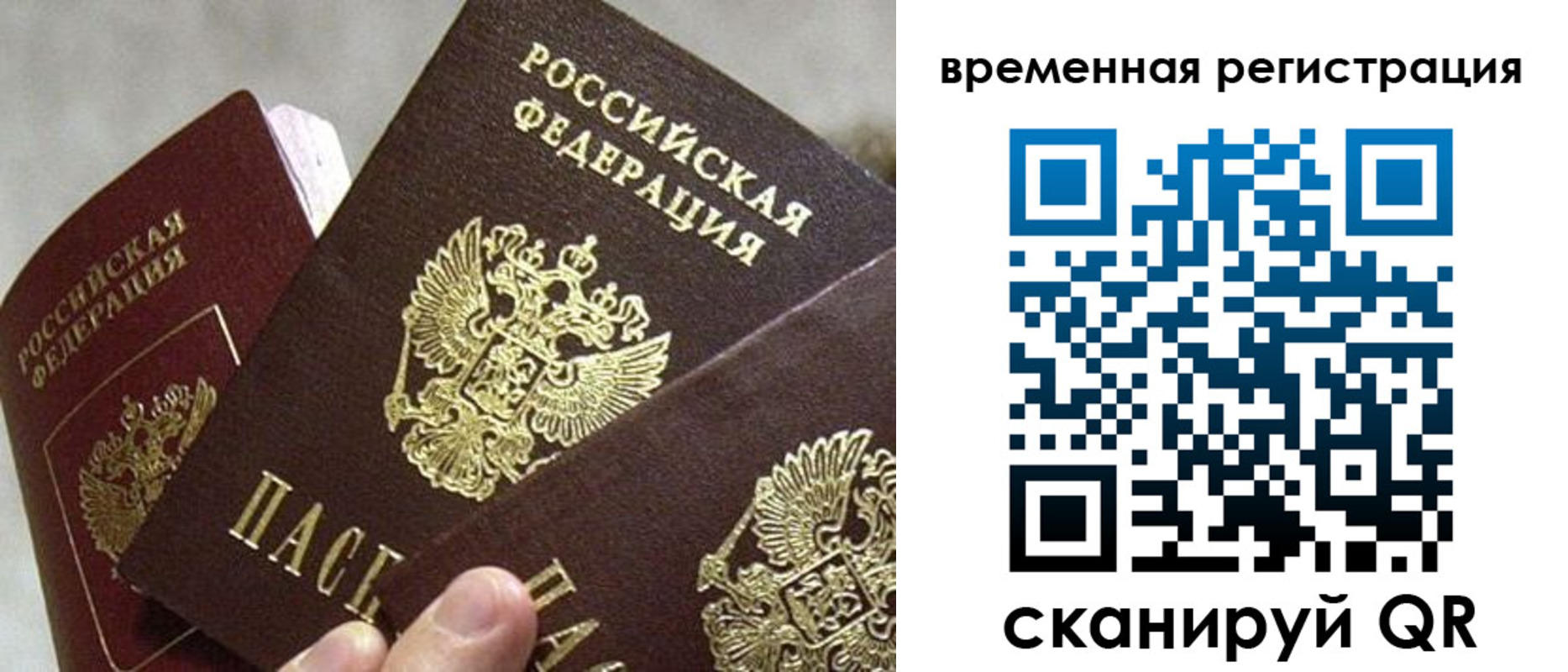 купить прописку в Владимирской области